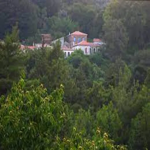 Het dorp Nikoloudes op Samos met enkele huizen in een groene, heuvelachtige omgeving.