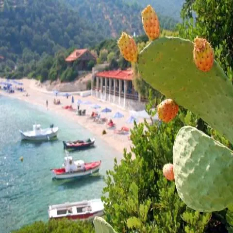 Limnionas a Samo con ciottoli, mare cristallino e taverne tipiche.